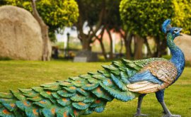 簡(jiǎn)述城市雕塑的紀(jì)念性、裝飾性和標(biāo)志性